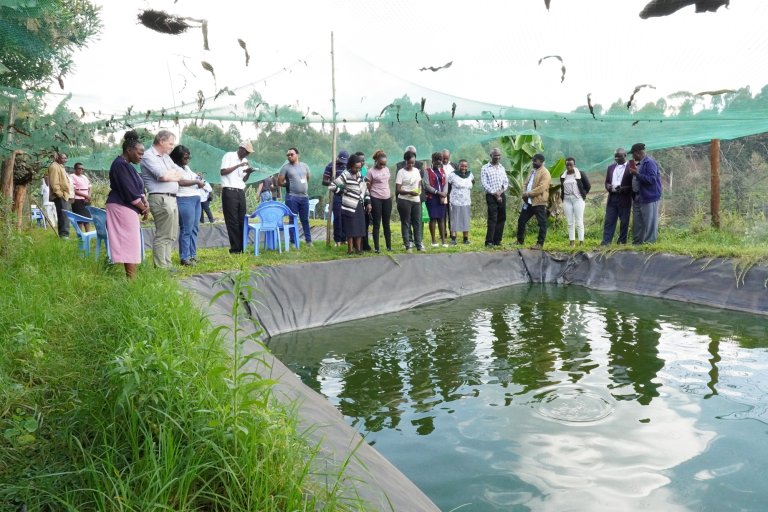 The team from the Norwegian Veterinary Institute provided specialized training in epidemiology and outbreak investigation in aquatic animals in both Ghana and Kenya. Here from the meeting in Kenya. Photo: Shimaa Ali, the Norwegian Veterinary Institute