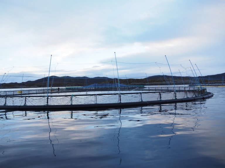 Oppdrettsanlegg i Harstad_Foto Harrieth Lundberg.jpg