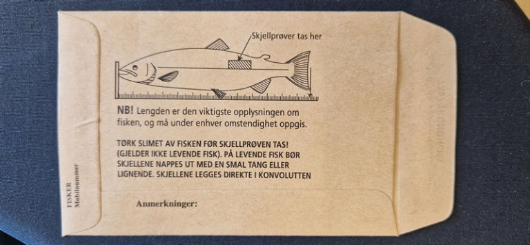 Fiskeskjellkonvolutt bakside foto Anne Haukland, Veterinærinstituttet_20230609_131717 (2).jpg